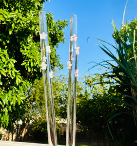 Glass Straws